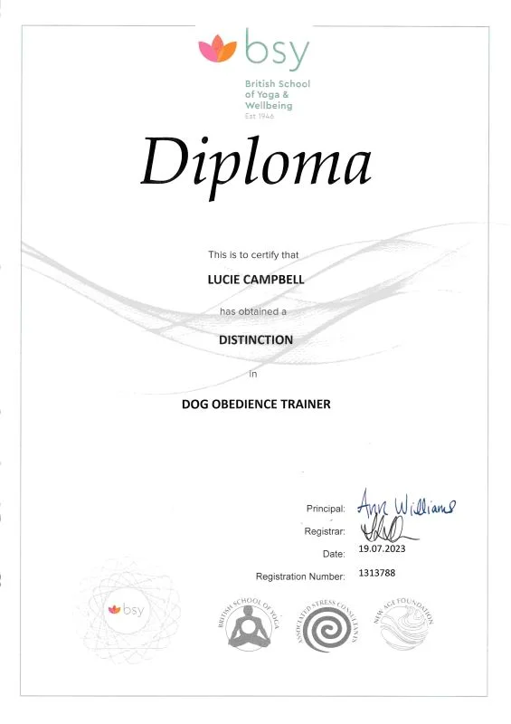 Lucie Campbell's Diploma for Dog Obedience and Agility Training