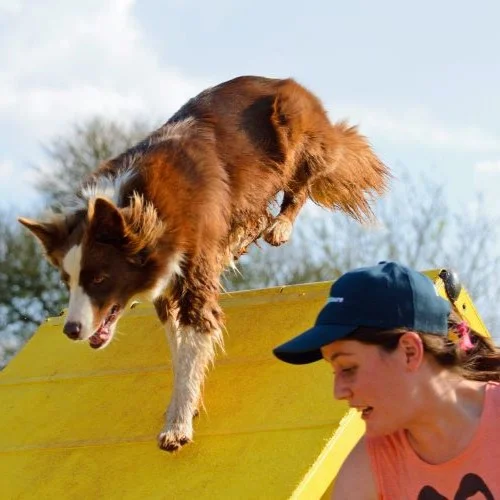 Image of a training session