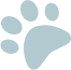 paw icon